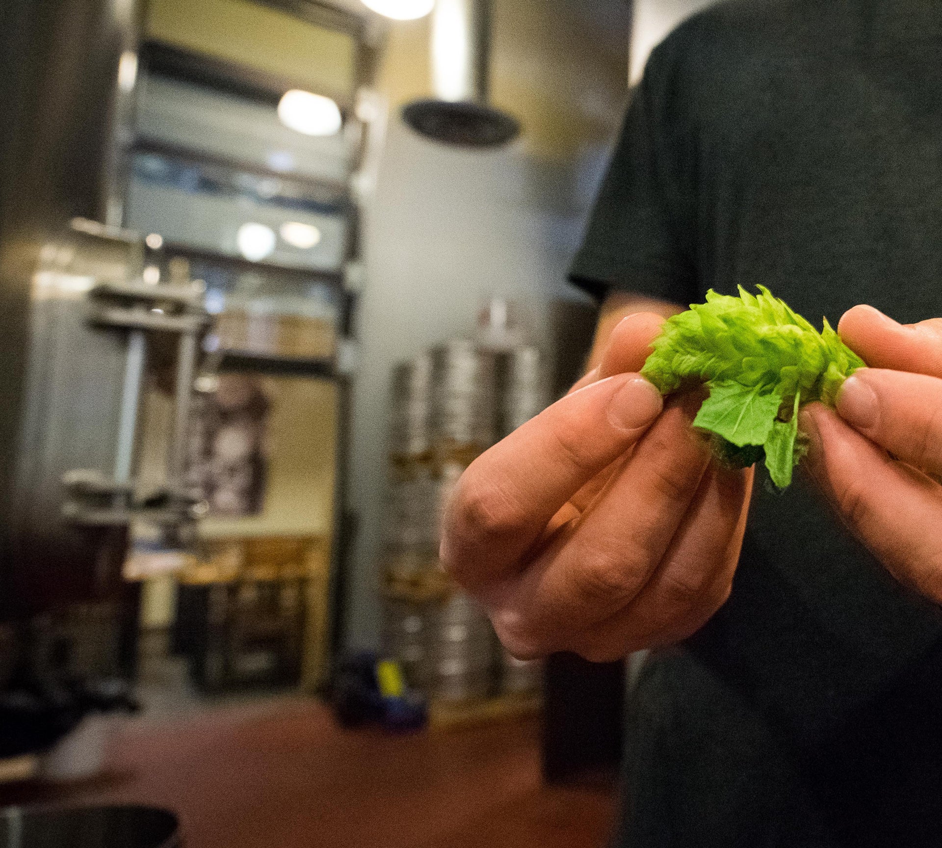Superior Hops, Global Reach