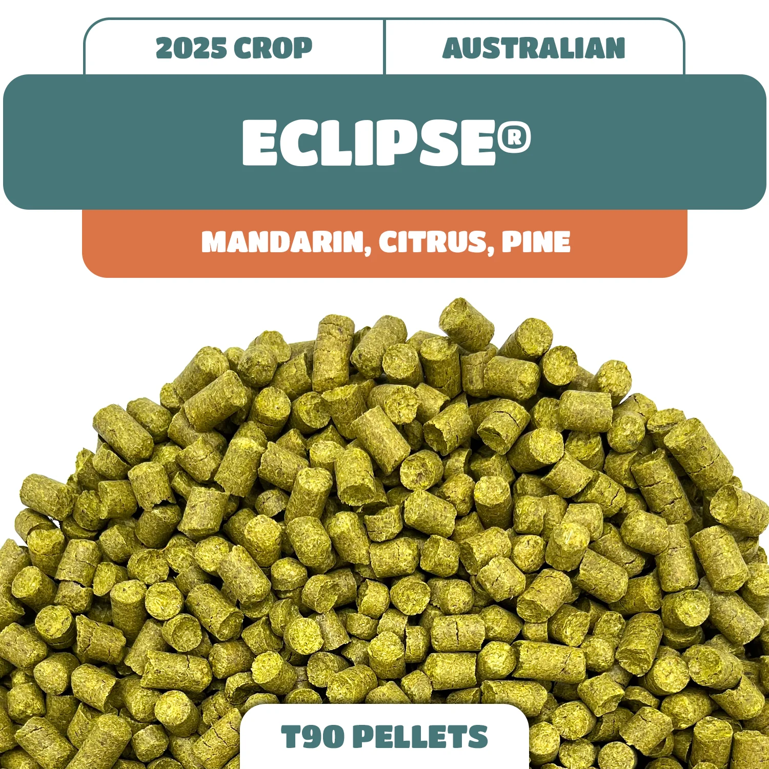 ALL HOPS
